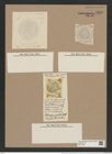 Stephanopyxis pulchra (= Coscinodiscus marginifer) W. et Ch. (de-Toni-Nr.: Genus 187, Species 4644) Zeichnungen Sammlung Grunow Nr. 8295 (NHMW-BOT-W0377693)